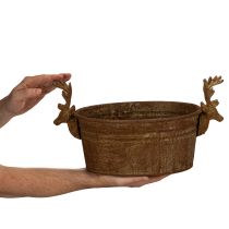 položky Dekorativní miska, hlava soba, oválná, rezavě zbarvená, rustikální, 41 cm