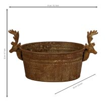 položky Dekorativní miska, hlava soba, oválná, rezavě zbarvená, rustikální, 41 cm
