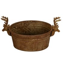 položky Dekorativní miska, hlava soba, oválná, rezavě zbarvená, rustikální, 41 cm