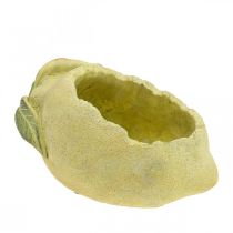 Středomořská betonová mísa, dekorativní citron, květináč, květináč L18,5cm