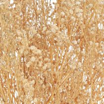 položky Gypsophila Pansy Gypsum Herb Bílé květy 50cm 55g