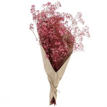 položky Gypsophila paniculate sádrovec bylina v bobule L50cm 55g
