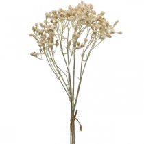 položky Umělá gypsophila krémová gypsophila 46cm svazek 3 kusů