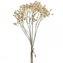 položky Umělý Gypsophila krém Gypsophila 46cm svazek 3 kusů