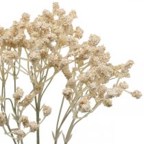 položky Umělý Gypsophila krém Gypsophila 46cm svazek 3 kusů