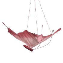 položky Velká závěsná dekorace motýlů, elegantní nástěnná dekorace, 50 cm, 2 kusy