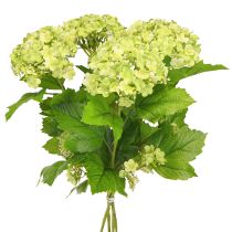 položky Sněhová koule umělé květiny Kalina umělá zelená 61cm 4 ks