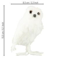 položky Dekorativní sova sněžná bílá se srstí a peřím 15,5 cm 2 ks
