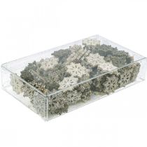 položky Sněhové vločky směs třpytek dřeva Ø2cm 144ks