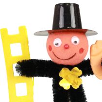 položky Dekorace z květiny kominíka, silvestrovský talisman pro štěstí, 17 cm, 24 kusů