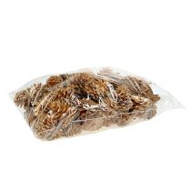 položky Černé šišky ozdobné šišky krémové 5-8cm 1kg