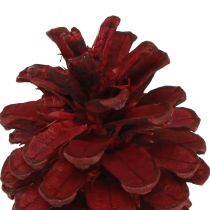 položky Černé šišky Bordeaux ozdobné šišky červené 6-8cm 6 ks