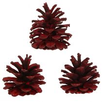 položky Černé šišky Bordeaux ozdobné šišky červené 6-8cm 6 ks