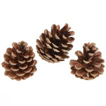 položky Černé šišky přírodní dekorativní šišky 5-8cm 250g