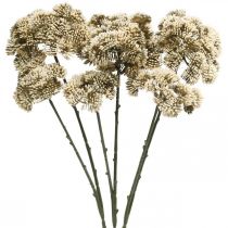 položky Sedum umělá květina sedum krémová květinová dekorace podzimní 70cm 3ks