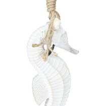 položky Dekorace Mořský koník na zavěšení White Wash 27cm