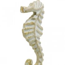 Mořský koník ze dřeva, námořní dekorace, dekorativní figurka mořského živočicha přírodní barva, bílá V35cm