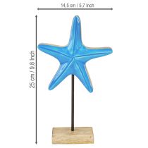 položky Dekorace hvězdice na podložce námořní přírodní modré dřevo V25cm