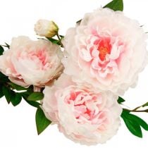 Umělý hedvábný květ pivoňky světle růžový, bílý 135 cm