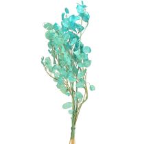 položky Sušený stříbrný list Lunaria světle modrá 65-70cm 20g