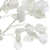 Ozdobná větev stříbrný list bílá Lunaria větev umělá větev 70cm