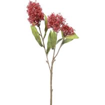 položky Skimmie Skimmia Japonica Umělé květiny Burgundsko DryLook L59cm