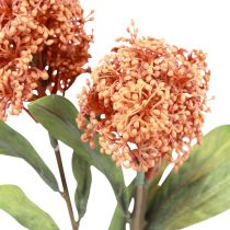 položky Skimmie Skimmia Japonica umělé květiny Orange DryLook L59cm