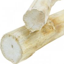 Slunečnicový stonek 20cm bílý 12ks