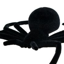 Pavouk černý 16cm vločkovaný