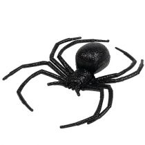 Pavouk černý 16cm se slídou