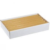 položky Kuželové svíčky stálobarevné svíčky medové 21×240mm 12 ks