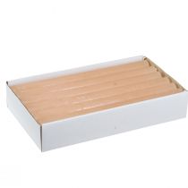 položky Jednobarevné kuželové svíčky, oranžovo-broskvové, 22×240 mm, 12 kusů