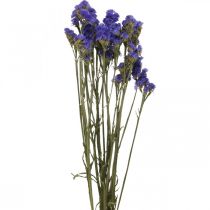 položky Svazek mořské levandule, sušené květy, mořská levandule, Statice Tatarica Blue L46–57cm 23g