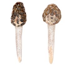 položky Umělý dekorativní kůl smrž do květináčů a na stůl, 13 cm, 2 kusy