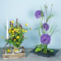 položky Květinová zátka do ježka ježek Kenzan Ikebana mosazná kulatá Ø 40mm