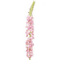 položky Pouštní ocasní stepní svíčka růžová 106cm