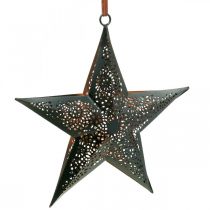 položky Vánoční věšák Star Metal Star Black H19cm