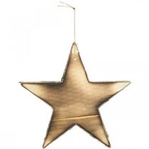 položky Dřevěná hvězda k zavěšení přírodní flambovaná vánoční dekorace 20cm