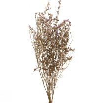 položky Plážový šeřík Limonium sušené květy fialové 70cm 50g