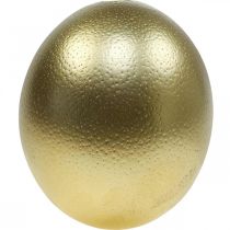 položky Dekorace z pštrosích vajec vyfouknutá Velikonoční dekorace zlatá Ø12cm V14cm