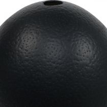 položky Dekorace z pštrosích vajec vyfouknutá Velikonoční dekorace černá Ø12cm V14cm