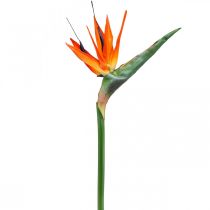 Umělá květina Strelizie reginae oranžová rajka L85cm