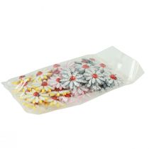 položky Bodová dekorace beruška květina dřevo plst barva Ø4cm 48 ks