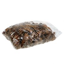 položky Strobus kužely 10-15cm malované 100 kusů