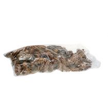 položky Strobus kužely 15 - 20cm malované 100 kusů