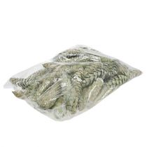 položky Dekorace Strobus kužely jablečně zelené bíle prané 15-20cm 50 ks