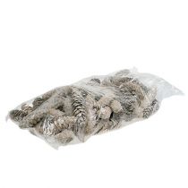 položky Strobus kužely 15cm - 20cm bílé prané 50 ks