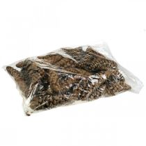 položky Šišky Bílá borovice Strobus Natural Smíšené 2,5kg