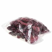 položky Dekorace Strobus kužely červené bíle prané 15-20cm 50 ks