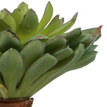 položky Sukulentní Echeveria umělá zelená rostlina zelená Ø6cm 10,5cm